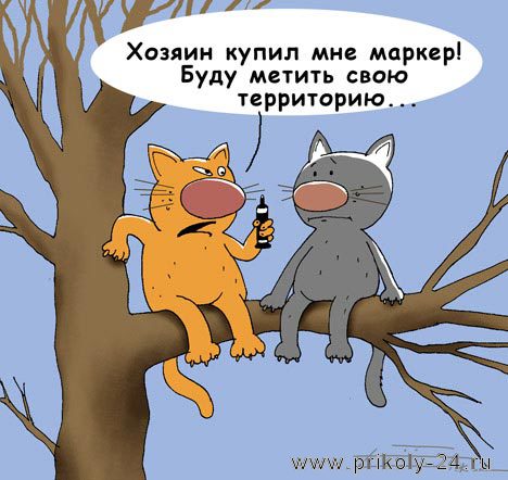 Карикатуры Сергея Ёлкина (78 штук)
