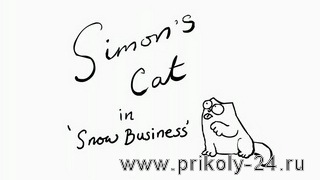 Перввая зима кота Симона